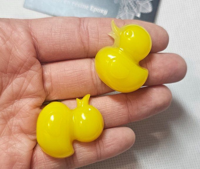 Lot de deux petits magnets frigo canards 