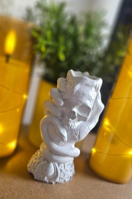 Décoration Tête de mort 