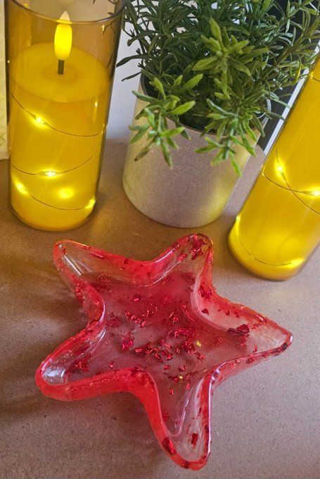 Vide poche étoile de mer 