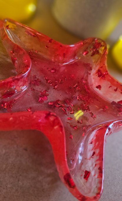 Vide poche étoile de mer 