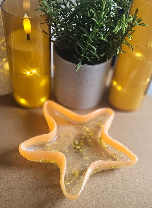 Vide poche étoile de mer 