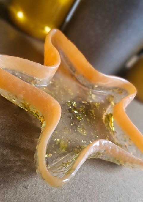 Vide poche étoile de mer 