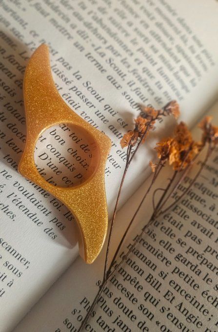 Bague de lecture 