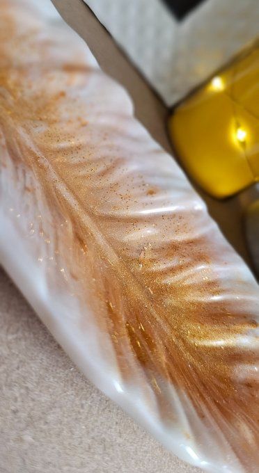 Douceur de Plume 
