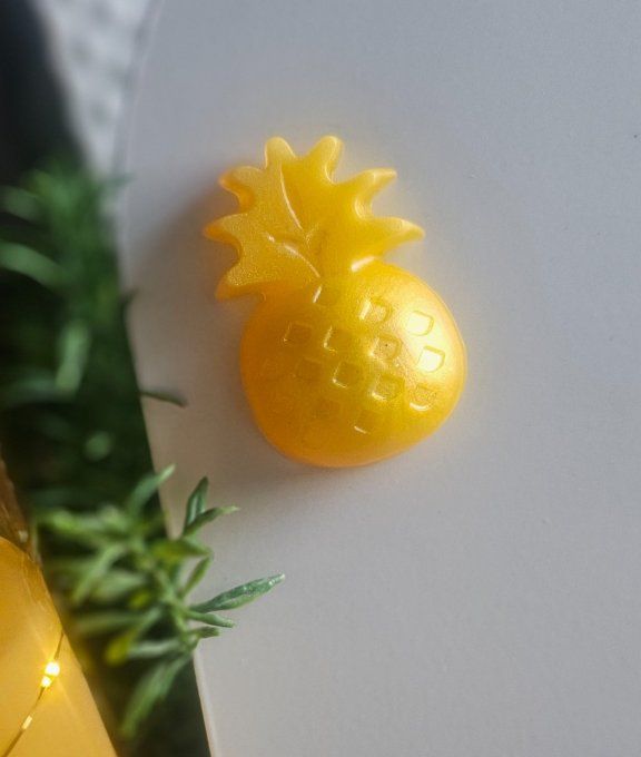 Magnet "Ananas"