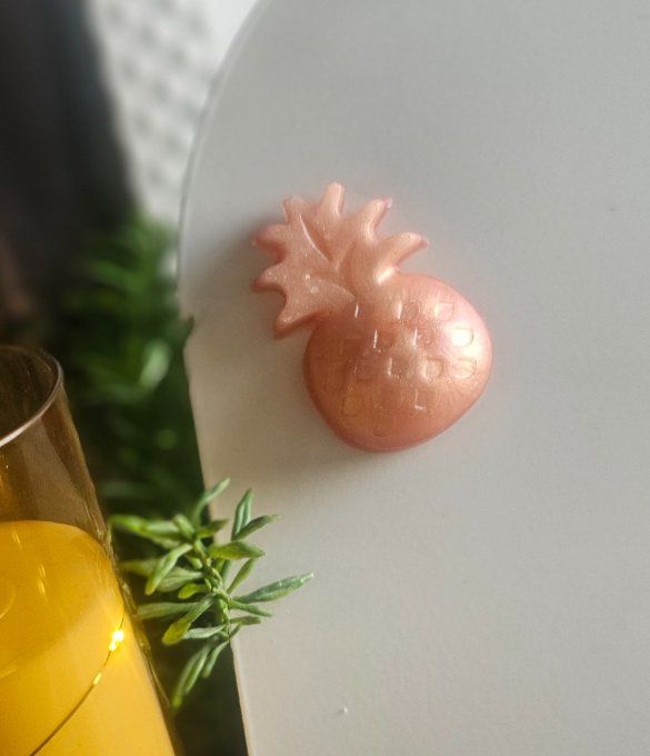 Magnet " Ananas"