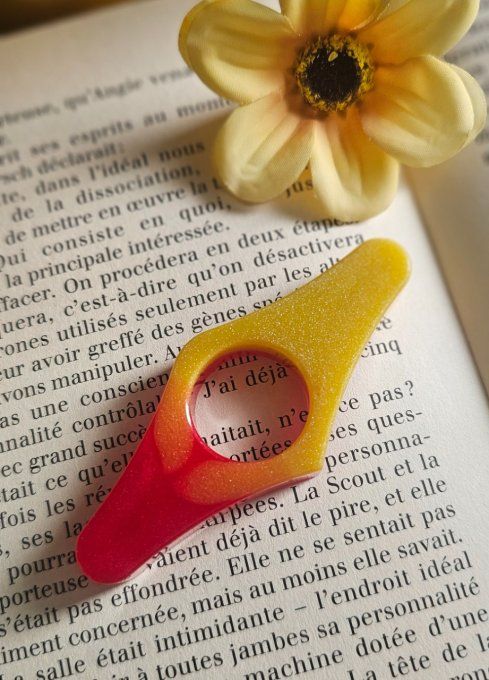 Bague de lecture 