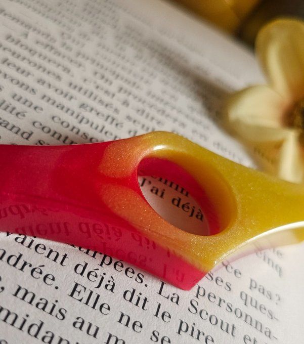 Bague de lecture 