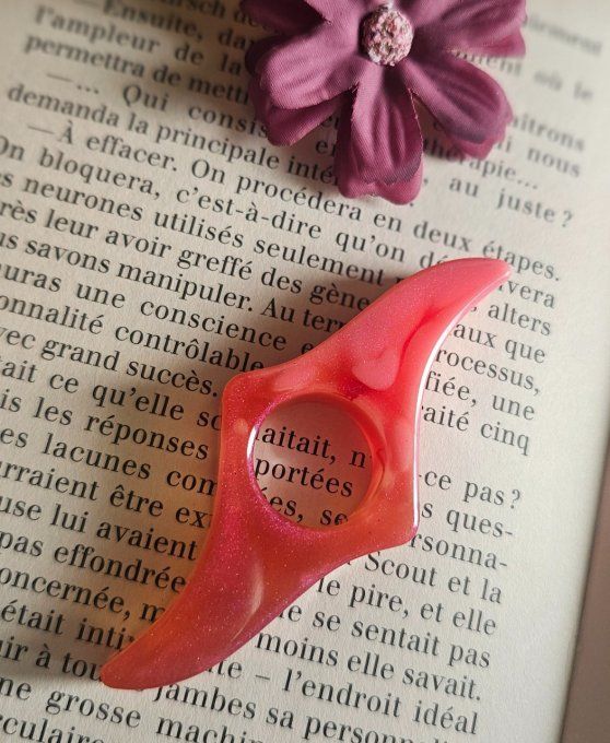 Bague de lecture 