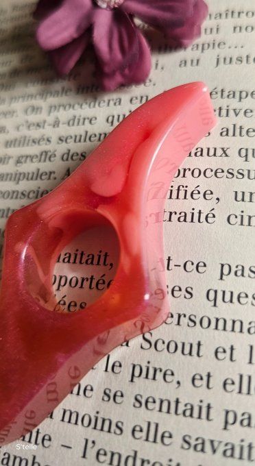 Bague de lecture 