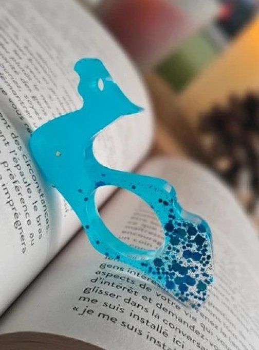 Bague de Lecture
