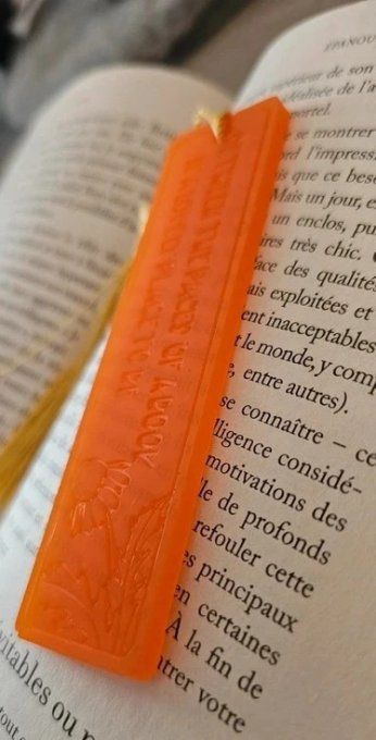 Marque Page Petit Format