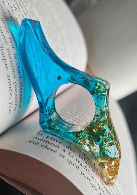 Bague de Lecture