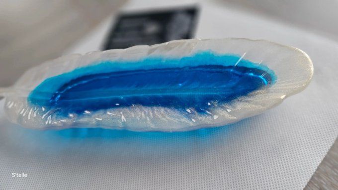 Vide Poche Feuille