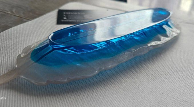Vide Poche Feuille