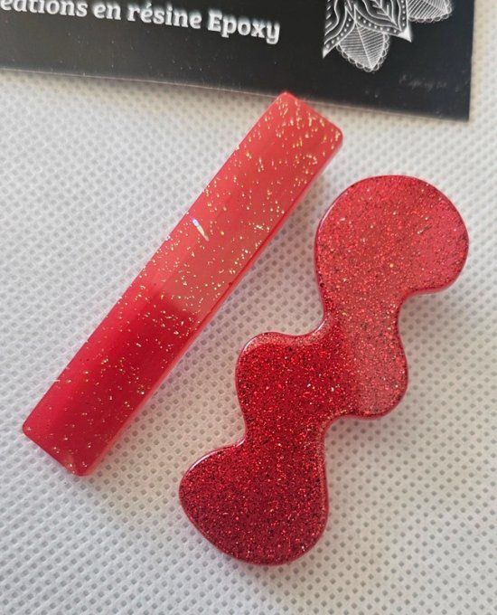 Lot de deux Barrettes à cheveux
