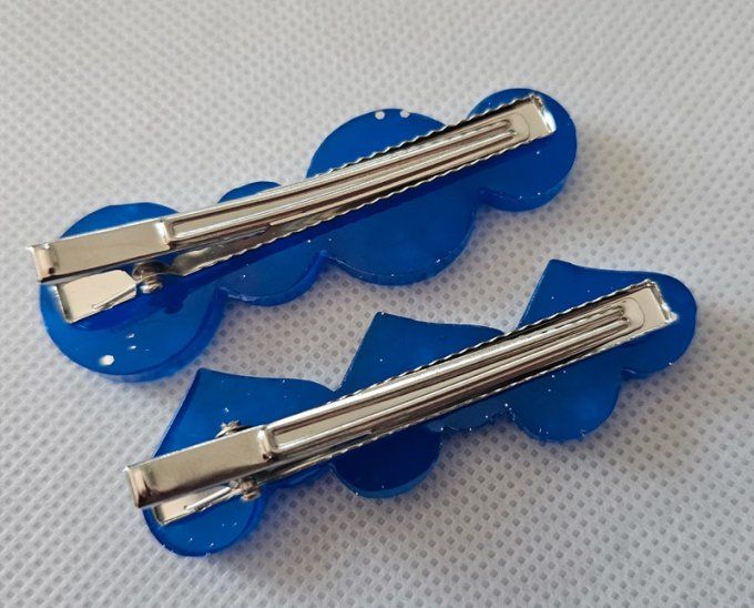 Lot de deux Barrettes à cheveux