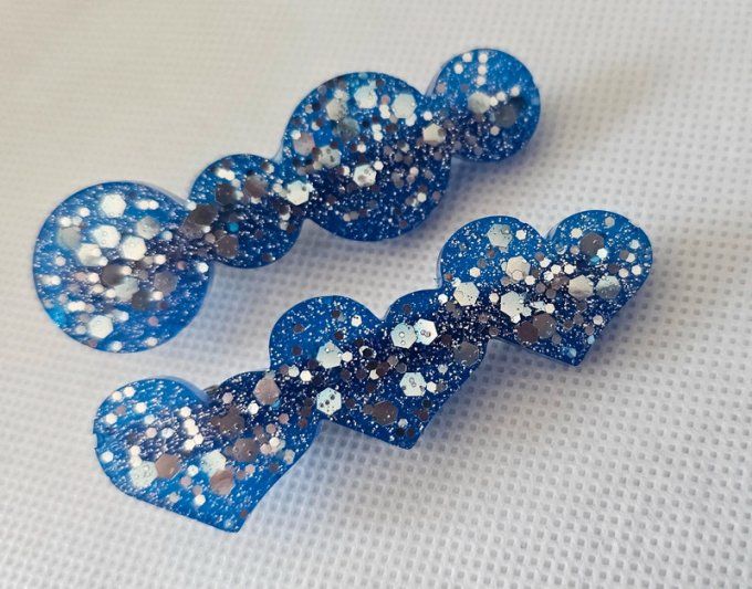Lot de deux Barrettes à cheveux
