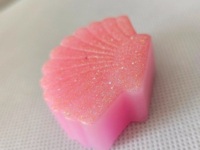 Magnet Frigo Coquillage