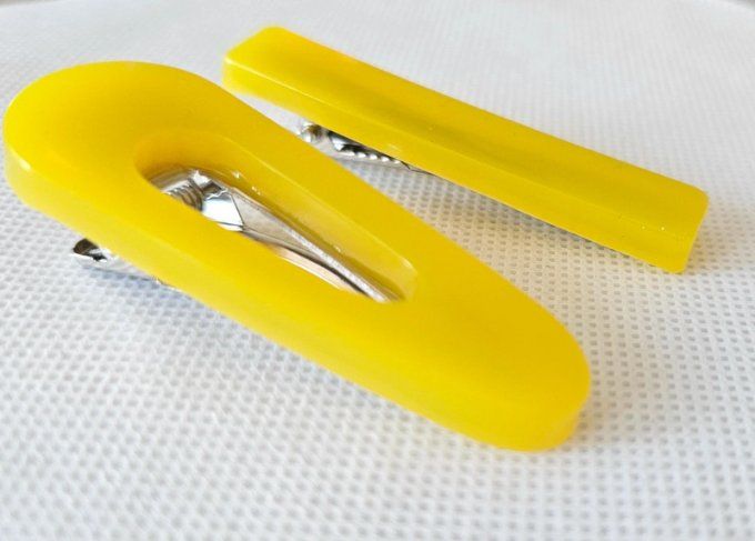 Lot de deux Barrettes à Cheveux
