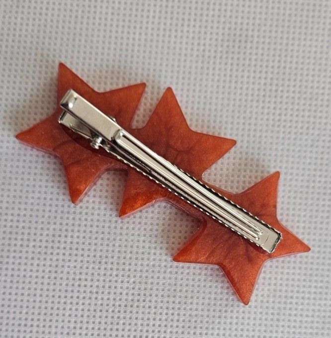 Barrette à Cheveux 