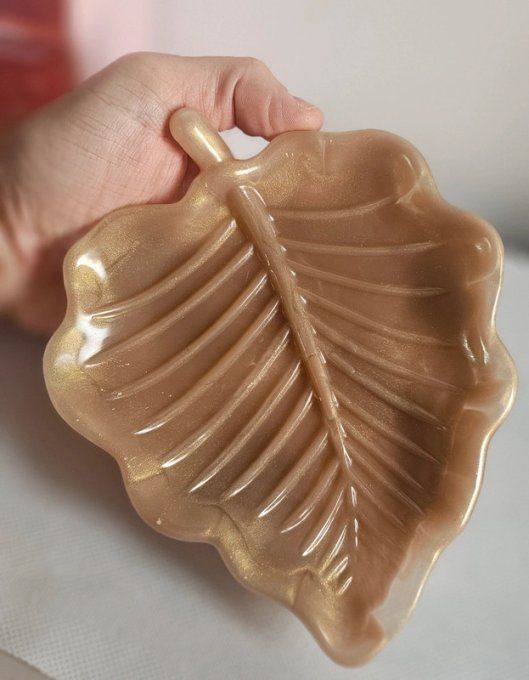 Vide Poche Feuille