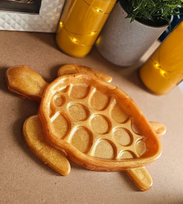 Vide Poche "Tortuga"